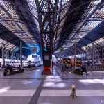 Una perra la Estación de Francia