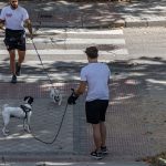 Varias personas en un paso de cebra con sus perros