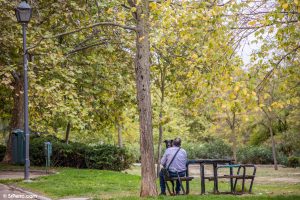 Un hombre con un perro en un parque
