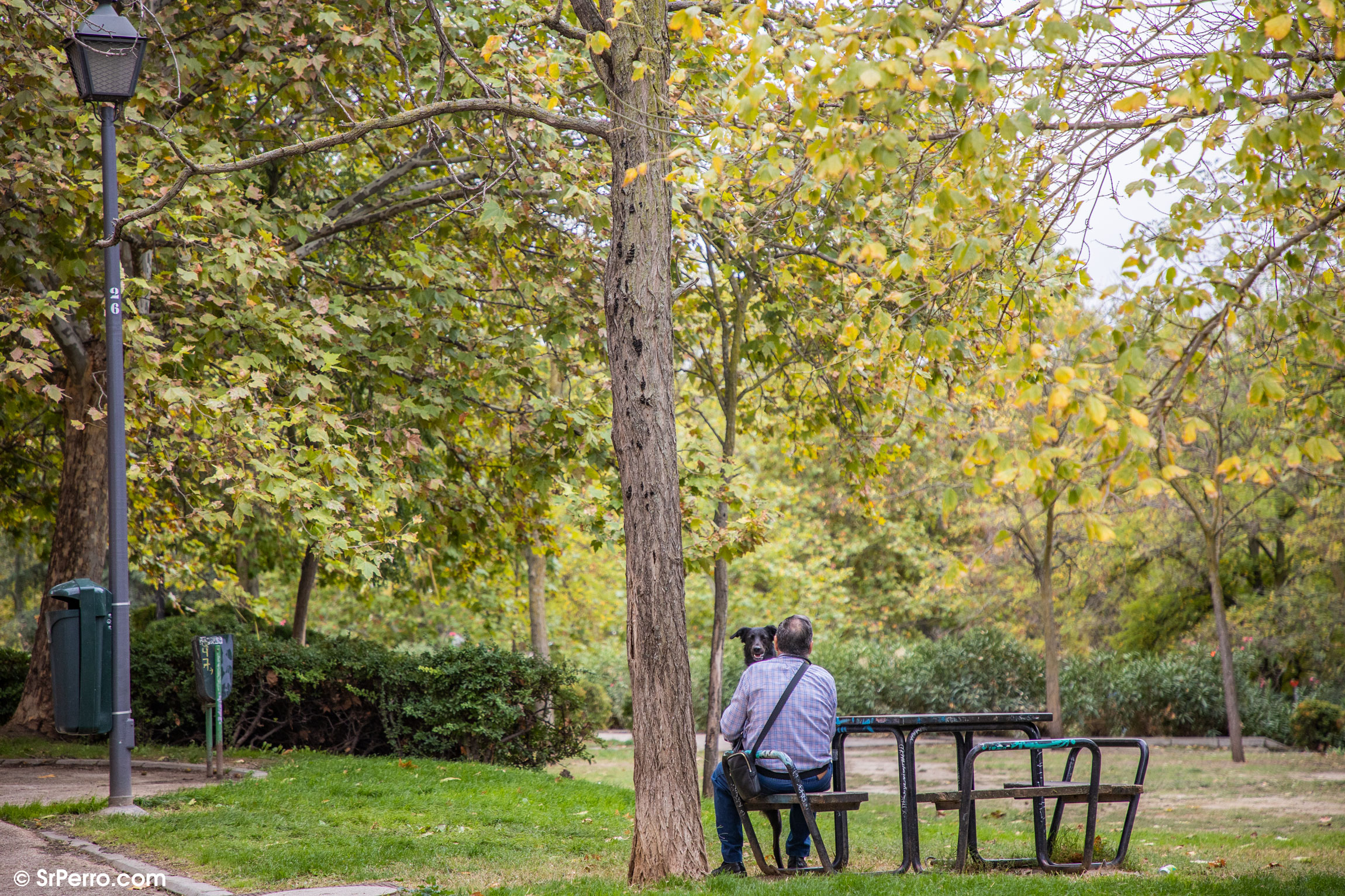 Un hombre con un perro en un parque