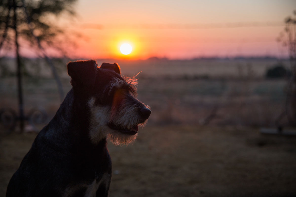 Colega y la puesta de sol