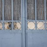 Un perro encerrado en una parcela