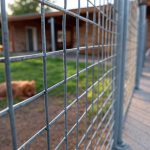 Valla en una protectora de perros