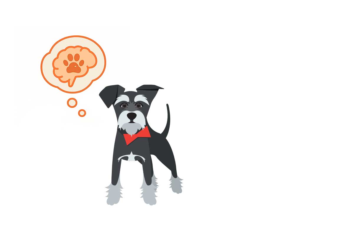Colega, tu Asistente de Educación Canina