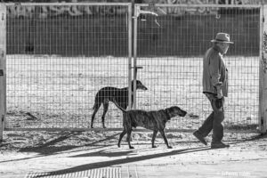 Todos los perros deberían tener los mismos derechos