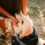 Una mujer acariciando a su perro