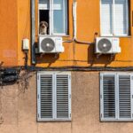 Un perro en la ventana de su casa