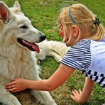Una niña acercándose a un perro