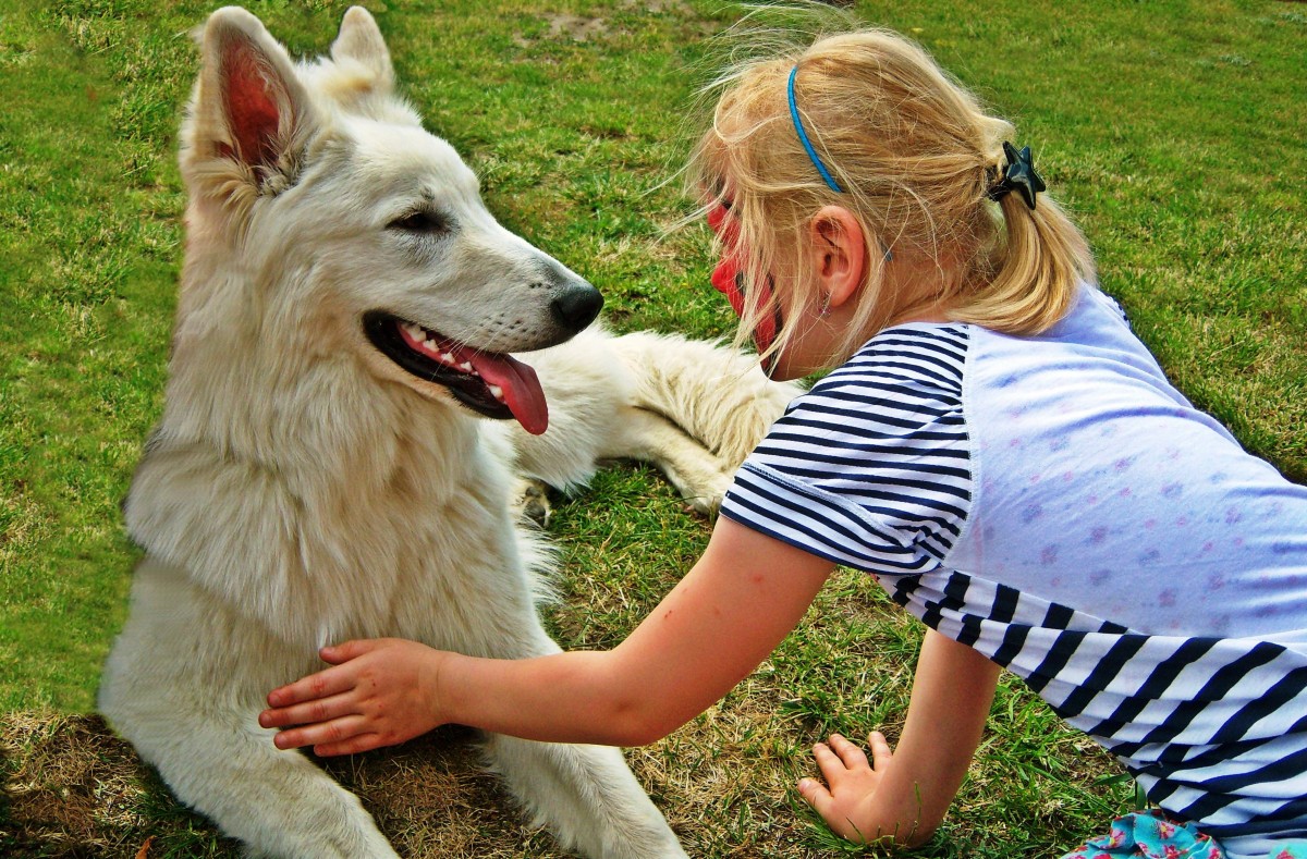 Una niña acercándose a un perro