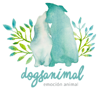 ElenaDogsAnimal