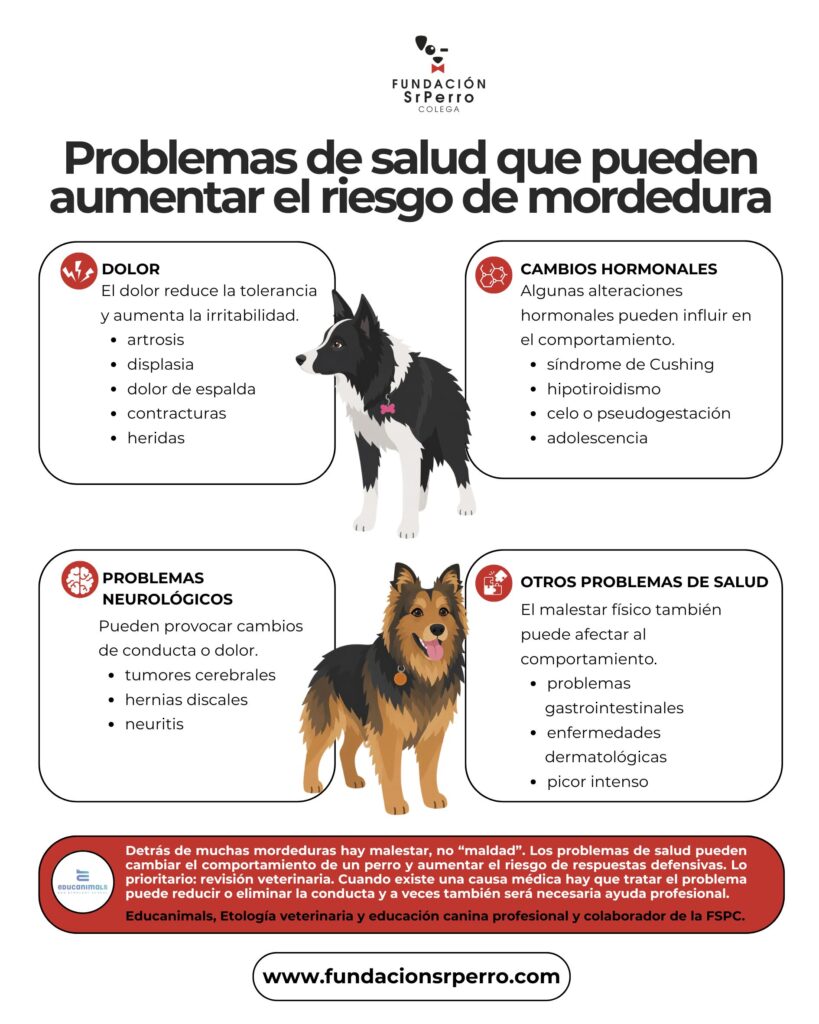 Problemas de salud que pueden aumentar el riesgo de mordedura