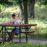 Un perro descansando con su tutor