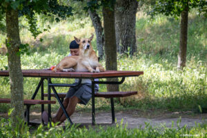 Un perro descansando con su tutor