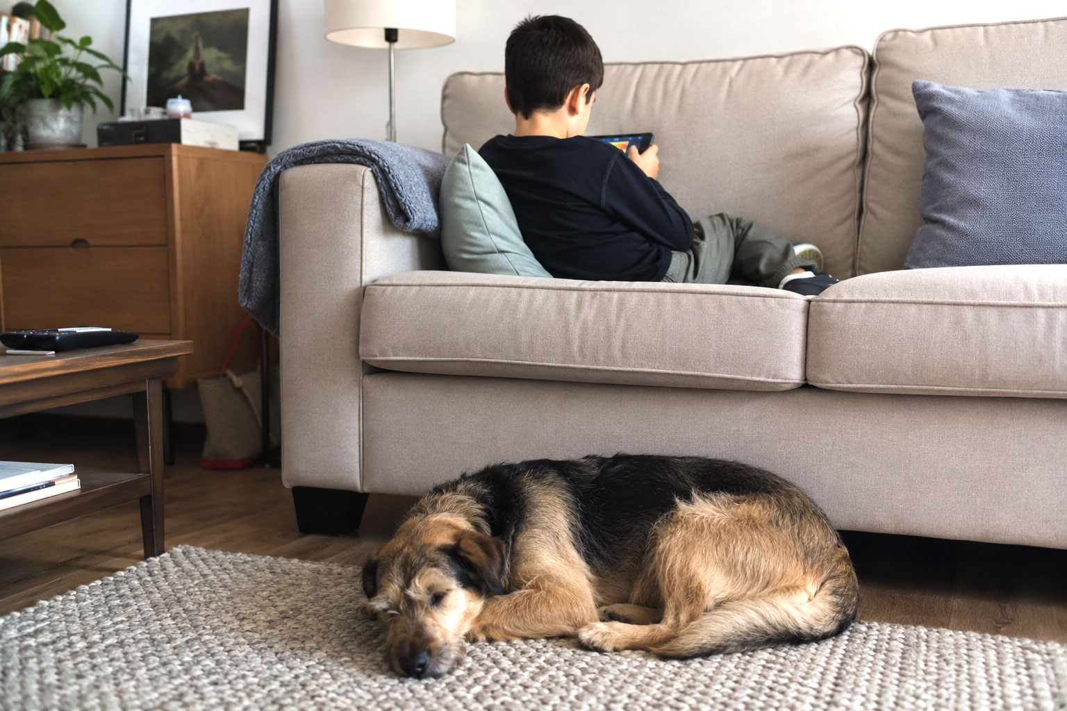 Un niño y un perro en el salón de una casa