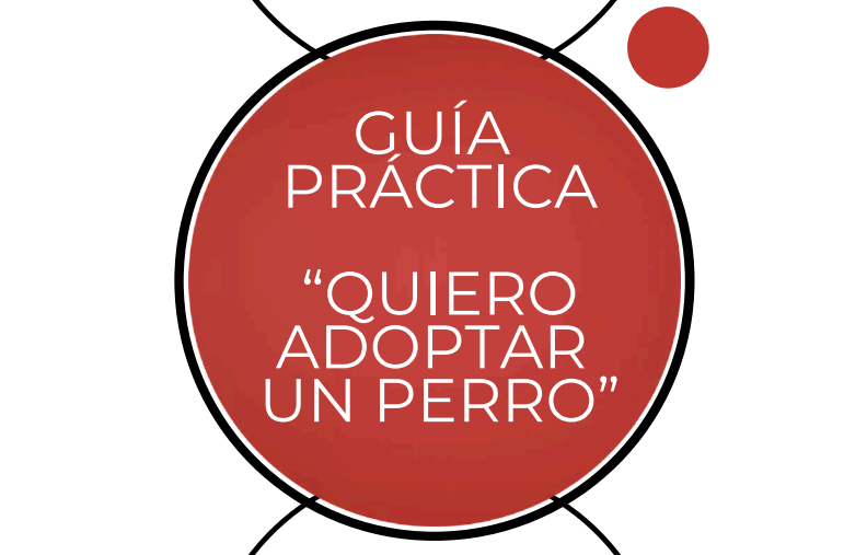 Portada de la guía práctica Quiero adoptar un perro