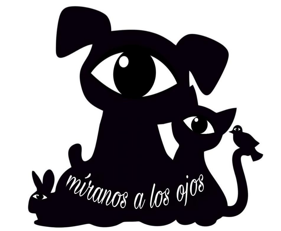 Míranos a los ojos