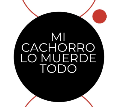 Portada de la guía Mi cachorro lo muerde todo